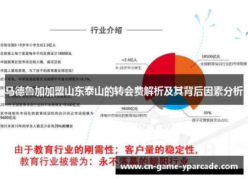 马德鲁加加盟山东泰山的转会费解析及其背后因素分析