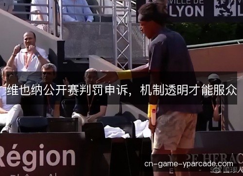 维也纳公开赛判罚申诉，机制透明才能服众